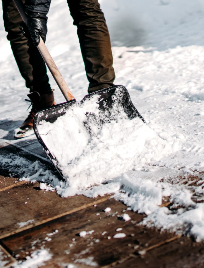 House sitting in Ontario